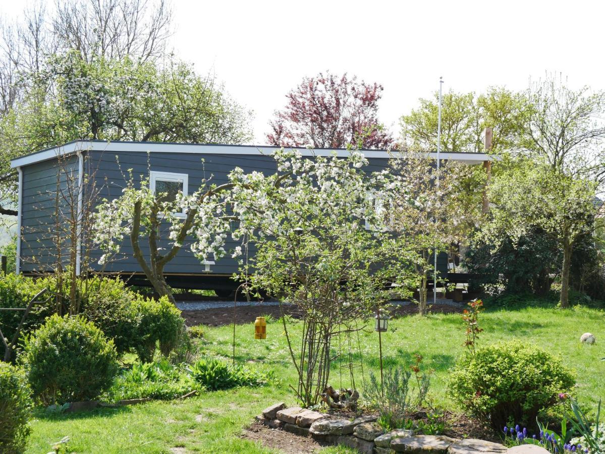 Tiny Ferienhaus Kelze Hofgeismar Zewnętrze zdjęcie