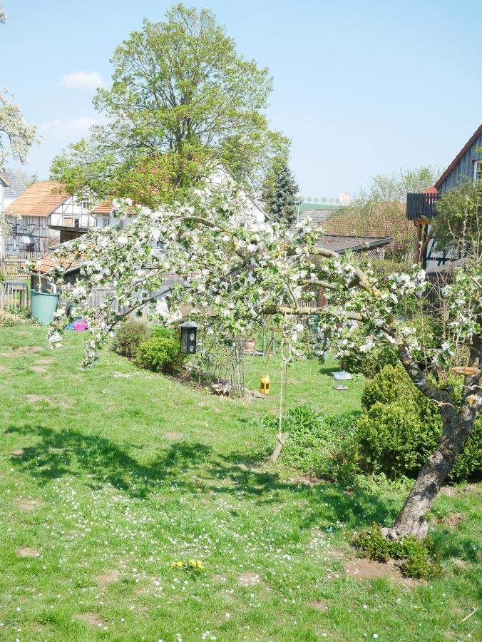 Tiny Ferienhaus Kelze Hofgeismar Zewnętrze zdjęcie