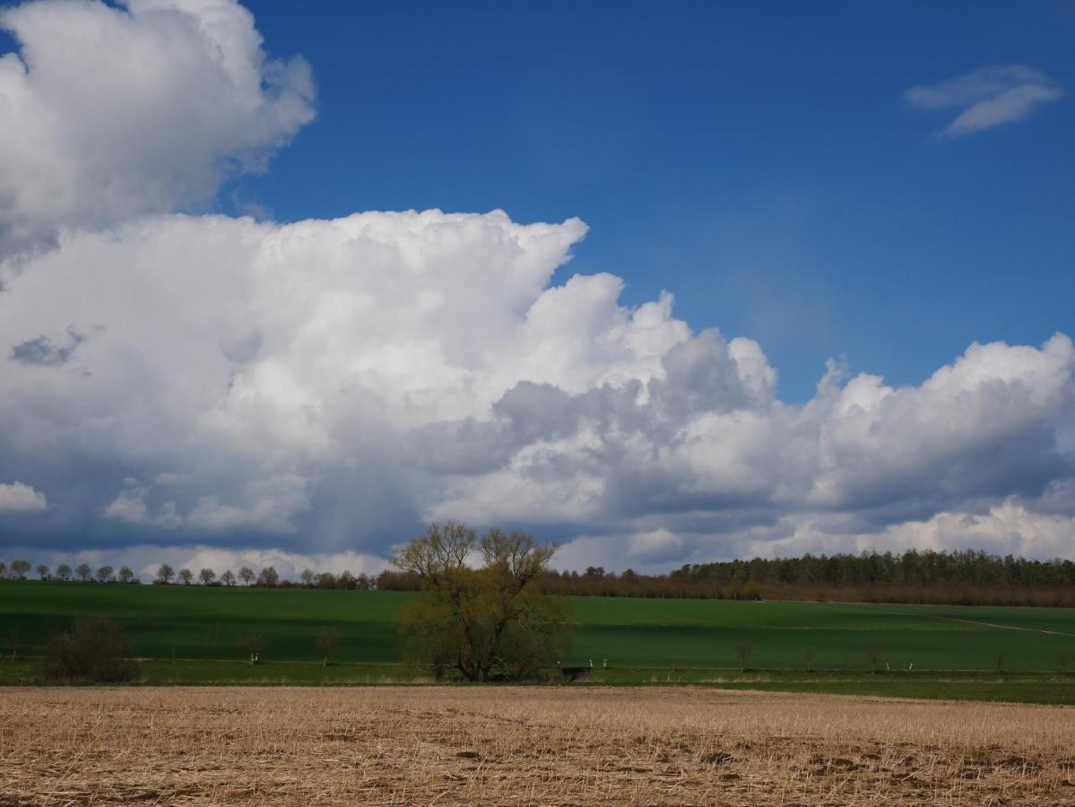 Tiny Ferienhaus Kelze Hofgeismar Zewnętrze zdjęcie