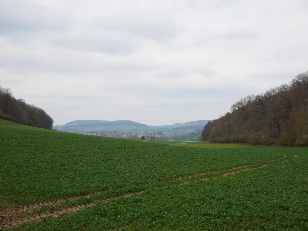 Tiny Ferienhaus Kelze Hofgeismar Zewnętrze zdjęcie