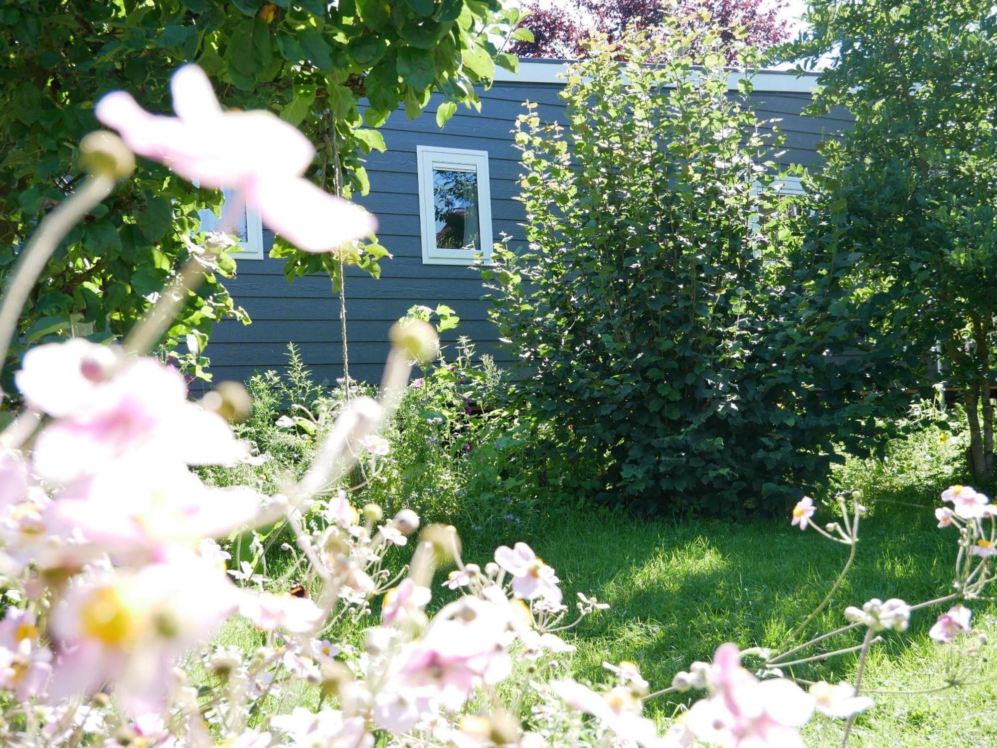 Tiny Ferienhaus Kelze Hofgeismar Zewnętrze zdjęcie